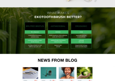 EkoThoothbrush